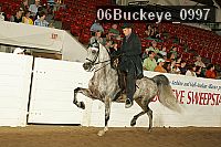 06buckeye_0997 proof