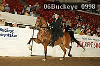 06buckeye_0998 proof