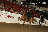 06buckeye_1000 proof