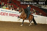 06buckeye_1001 proof