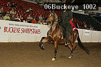 06buckeye_1002 proof
