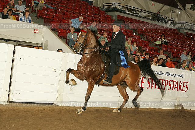 Proof 06buckeye_1003