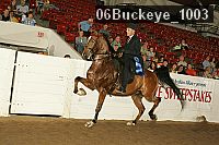 06buckeye_1003 proof