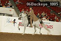06buckeye_1005 proof