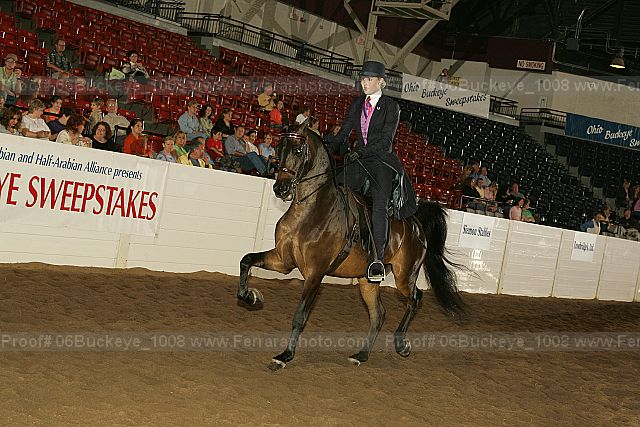 Proof 06buckeye_1008