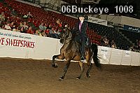 06buckeye_1008 proof