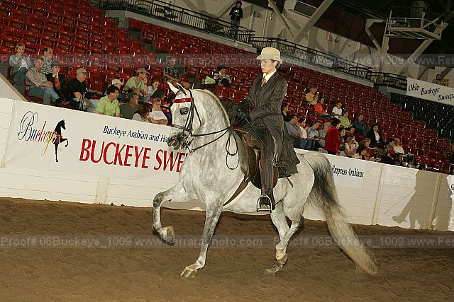 Proof 06buckeye_1009