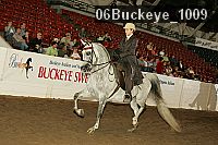 06buckeye_1009 proof
