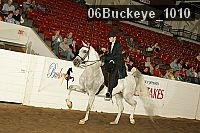 06buckeye_1010 proof
