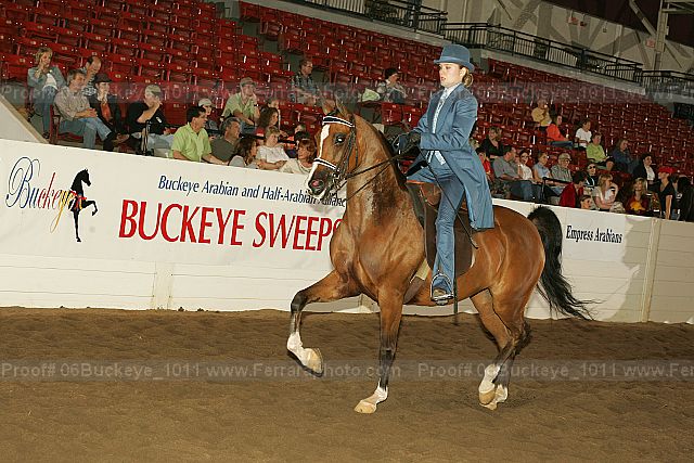 Proof 06buckeye_1011