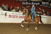 06buckeye_1011 proof