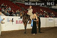 06buckeye_1012 proof