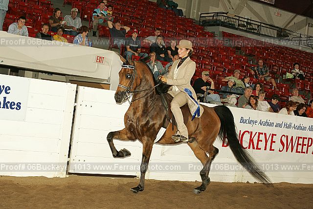 Proof 06buckeye_1013