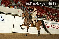 06buckeye_1013 proof