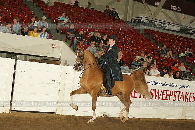 Proof 06buckeye_1015