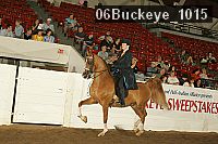 06buckeye_1015 proof
