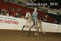06buckeye_1016 proof