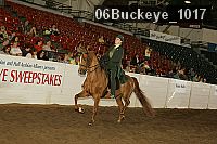 06buckeye_1017 proof
