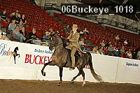 06buckeye_1018 proof