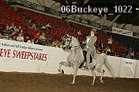 06buckeye_1022 proof