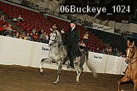 06buckeye_1024 proof