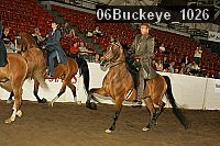 06buckeye_1026 proof
