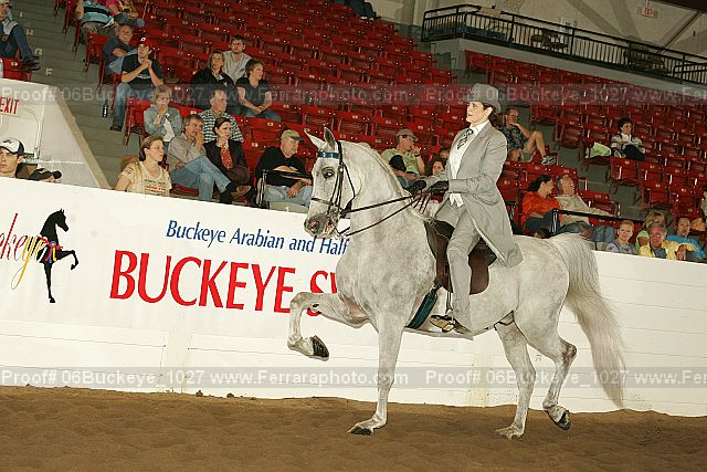 Proof 06buckeye_1027
