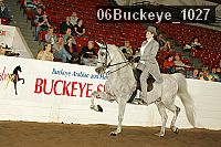 06buckeye_1027 proof