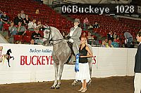 06buckeye_1028 proof