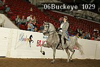 06buckeye_1029 proof