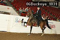 06buckeye_1031 proof