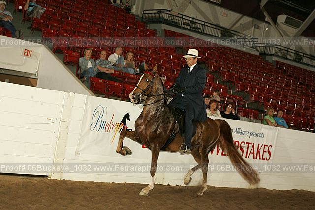 Proof 06buckeye_1032