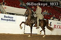 06buckeye_1033 proof