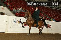 06buckeye_1034 proof