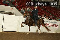 06buckeye_1035 proof