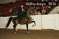 06buckeye_1036 proof