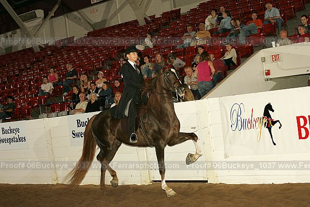 Proof 06buckeye_1037