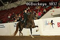 06buckeye_1037 proof