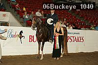 06buckeye_1040 proof
