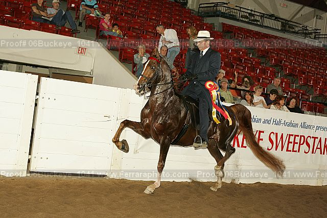 Proof 06buckeye_1041