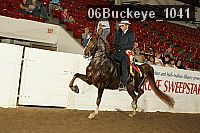 06buckeye_1041 proof
