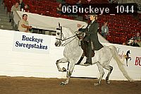 06buckeye_1044 proof