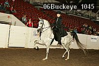 06buckeye_1045 proof
