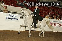 06buckeye_1046 proof