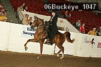 06buckeye_1047 proof
