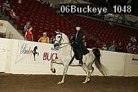06buckeye_1048 proof
