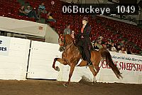 06buckeye_1049 proof