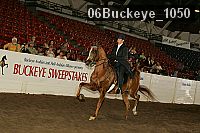 06buckeye_1050 proof