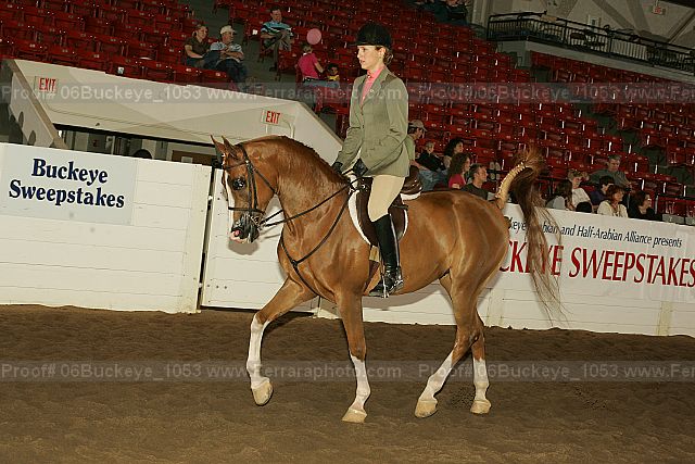 Proof 06buckeye_1053