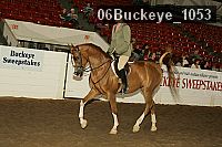06buckeye_1053 proof